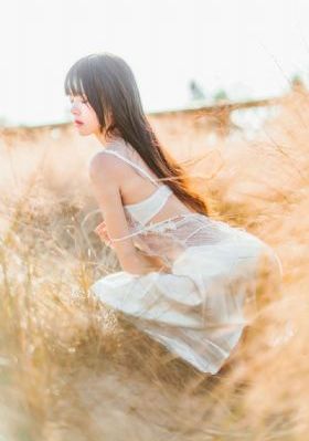 地狱少女二笼_1080P在线播放观看