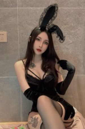 最强大脑第九季_DVD在线手机播放