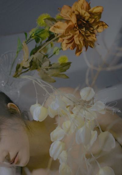 电视剧妻子的秘密_高清日韩免费观看